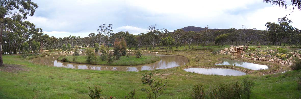 Water Flower Ponds